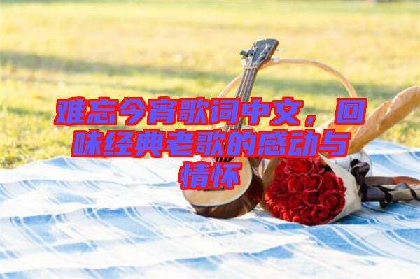 難忘今宵歌詞中文，回味經(jīng)典老歌的感動與情懷