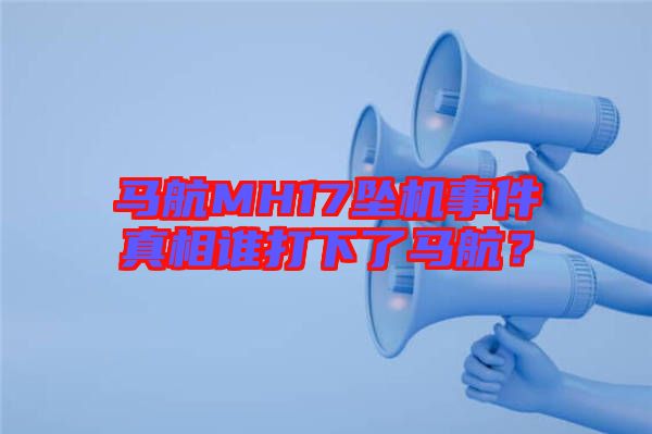 馬航MH17墜機(jī)事件真相誰打下了馬航？