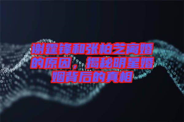 謝霆鋒和張柏芝離婚的原因，揭秘明星婚姻背后的真相
