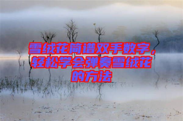 雪絨花簡譜雙手?jǐn)?shù)字，輕松學(xué)會彈奏雪絨花的方法