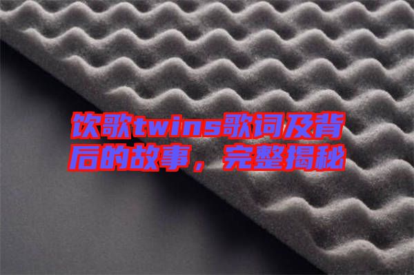 飲歌twins歌詞及背后的故事，完整揭秘