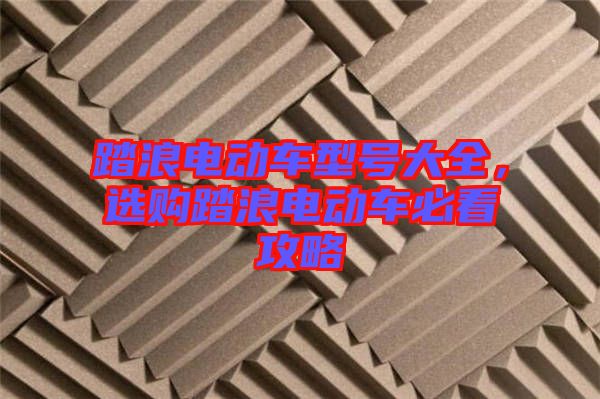 踏浪電動車型號大全，選購踏浪電動車必看攻略