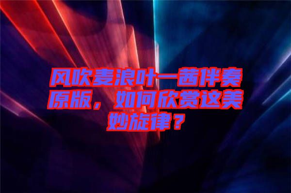 風(fēng)吹麥浪葉一茜伴奏原版，如何欣賞這美妙旋律？