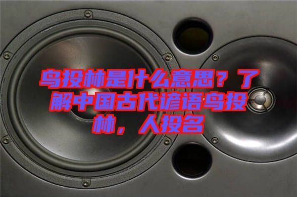 鳥投林是什么意思？了解中國古代諺語鳥投林，人投名