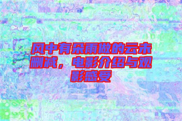 風中有朵雨做的云未刪減，電影介紹與觀影感受