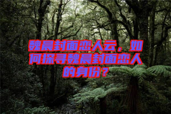 魏晨封面戀人云，如何探尋魏晨封面戀人的身份？