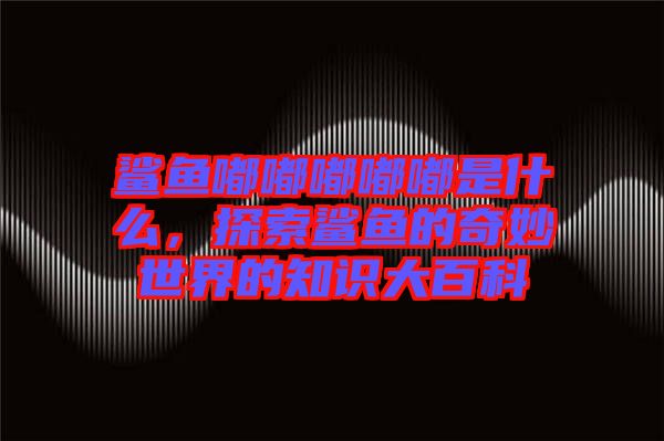 鯊魚(yú)嘟嘟嘟嘟嘟是什么，探索鯊魚(yú)的奇妙世界的知識(shí)大百科