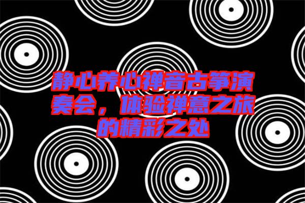 靜心養(yǎng)心禪音古箏演奏會，體驗禪意之旅的精彩之處