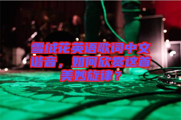 雪絨花英語歌詞中文諧音，如何欣賞這首美妙旋律？
