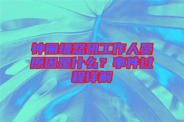 鐘麗緹怒吼工作人員原因是什么？事件過程詳解