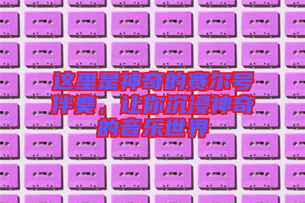 這里是神奇的賽爾號伴奏，讓你沉浸神奇的音樂世界