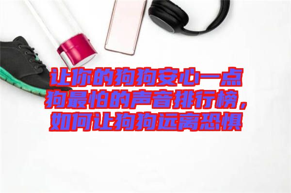 讓你的狗狗安心一點(diǎn)狗最怕的聲音排行榜，如何讓狗狗遠(yuǎn)離恐懼