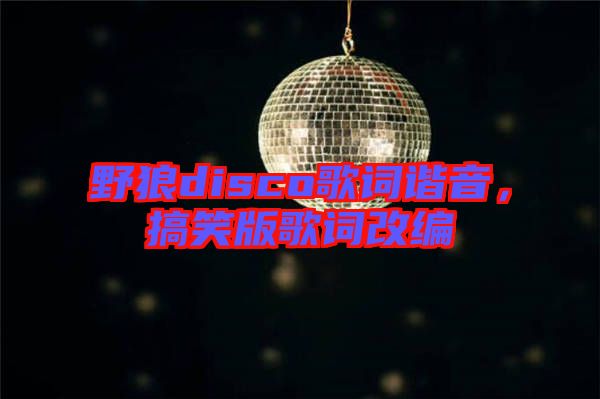 野狼disco歌詞諧音，搞笑版歌詞改編