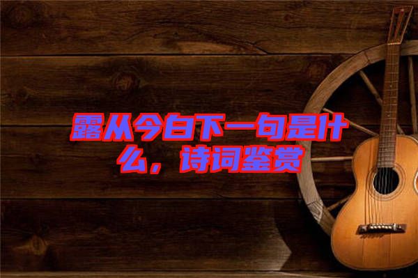 露從今白下一句是什么，詩(shī)詞鑒賞