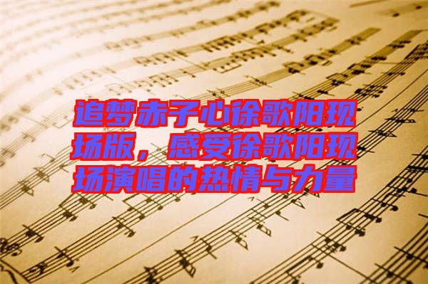 追夢赤子心徐歌陽現(xiàn)場版，感受徐歌陽現(xiàn)場演唱的熱情與力量