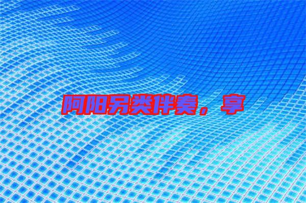 阿陽另類伴奏，享