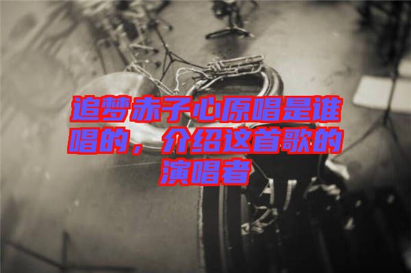 追夢赤子心原唱是誰唱的，介紹這首歌的演唱者