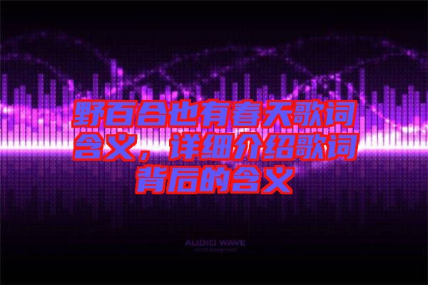 野百合也有春天歌詞含義，詳細介紹歌詞背后的含義